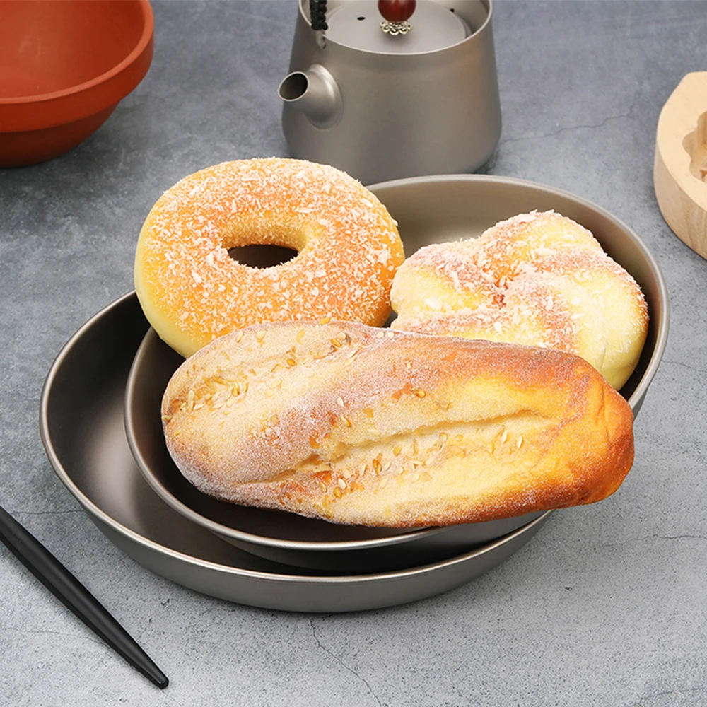 Pure Titanium Plate for Camp